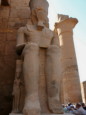 Fotos Statuen am Luxor Tempel | Luxor