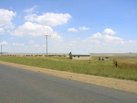 Fotos Straßenrand | 