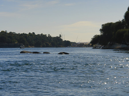 Foto Wasser - Aswan