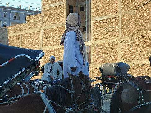 Fotos Pferdekutsche | Edfu