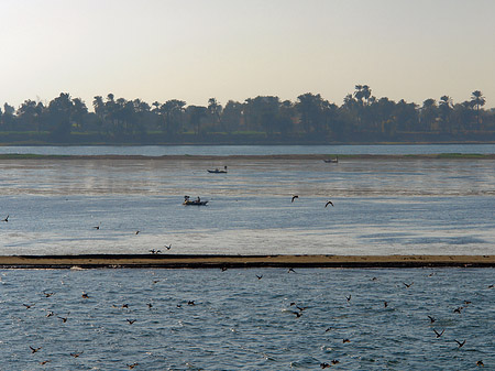 Foto Kleines Boot