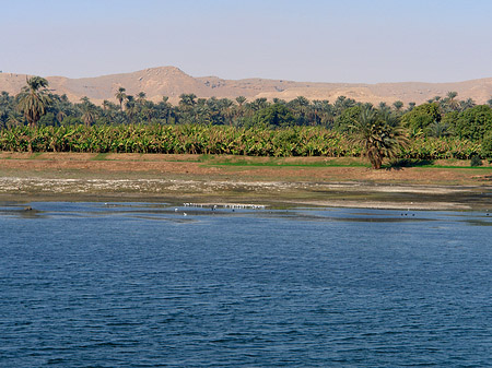 Ufer Fotos