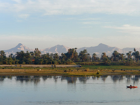 Fotos Ufer | 