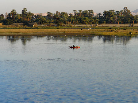 Ufer