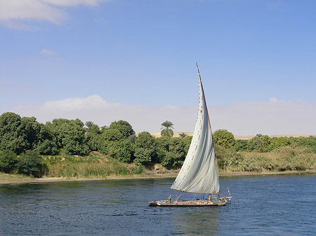 Fotos Felucca
