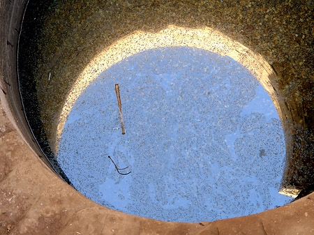 Foto Brunnen - Kôm Ombo