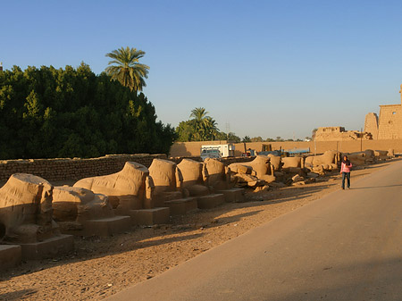Foto Stadt - Luxor