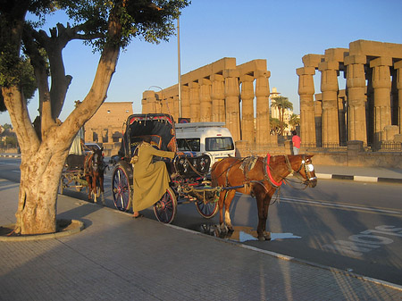 Luxor Tempel bei Sonnenuntergang