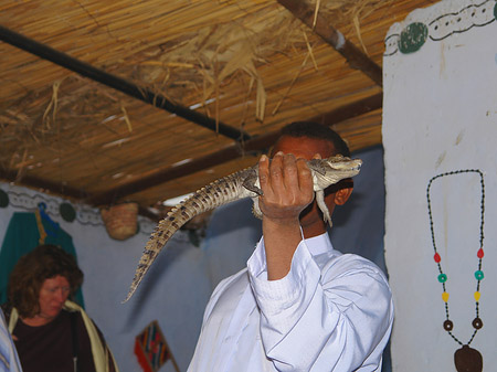 Foto Mann mit Krokodil - 