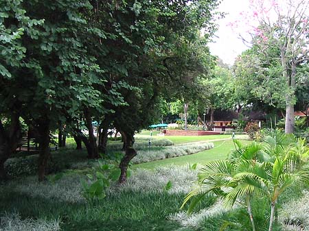 Fotos Das Hotelgelände | Phalaborwa