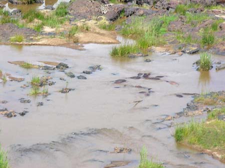 Fluss in Olifants Fotos