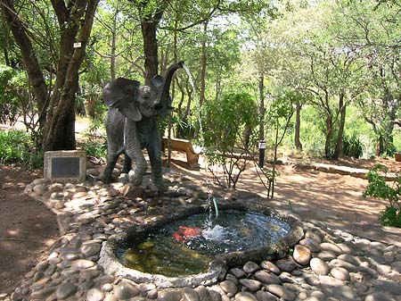 Fotos Hotelanlage | Olifants