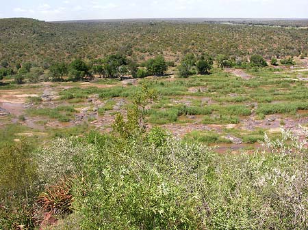 Foto Landschaften - Olifants