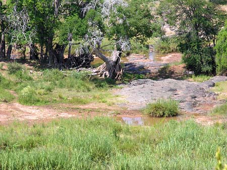 Landschaften Fotos