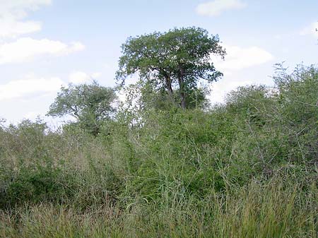 Landschaften