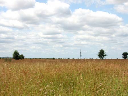 Landschaften Foto 