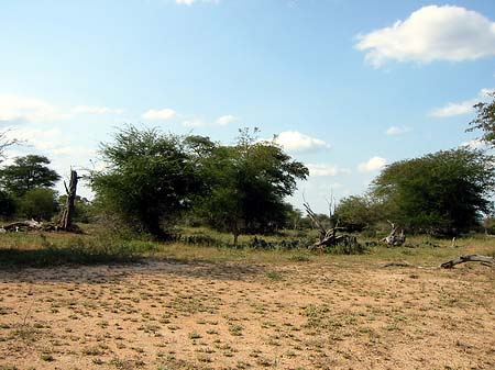 Fotos Landschaften