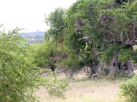 Landschaften Foto 