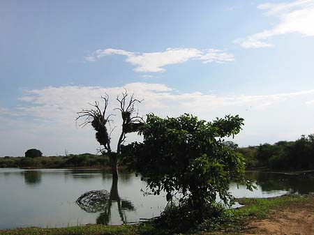 Foto Landschaften