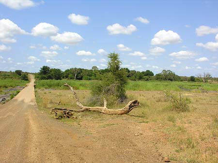 Straßen Foto 