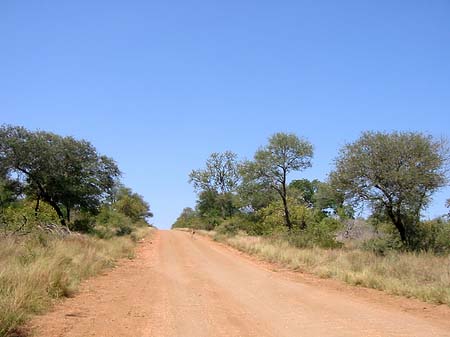 Fotos Straßen