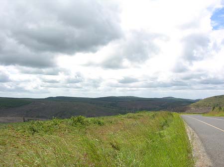 Straßenränder Fotos