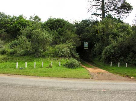 Foto Straßenränder
