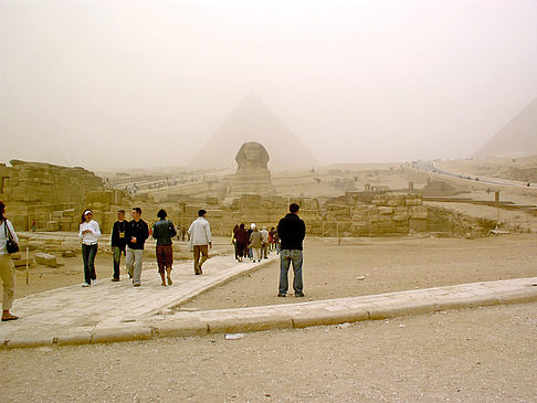 Fotos Sphinx