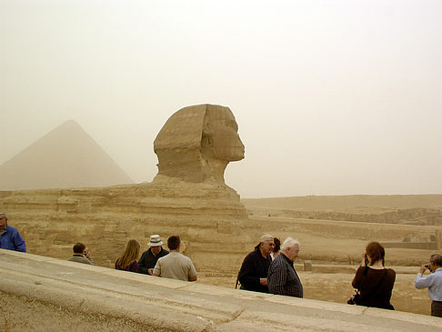 Sphinx Fotos