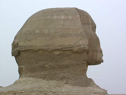 Fotos Sphinx | 
