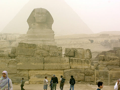 Foto Sphinx - 