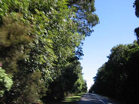 Fotos Straßen