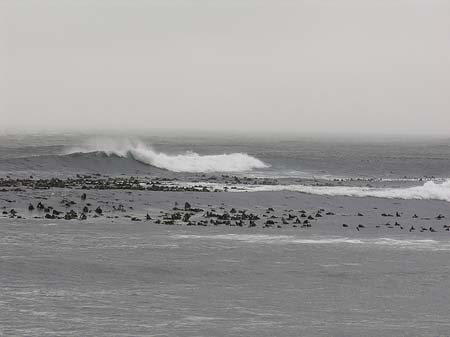 Foto Blick vom Kap auf das Meer