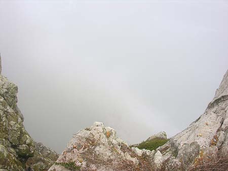 Foto Nebel in Kapstadt - 