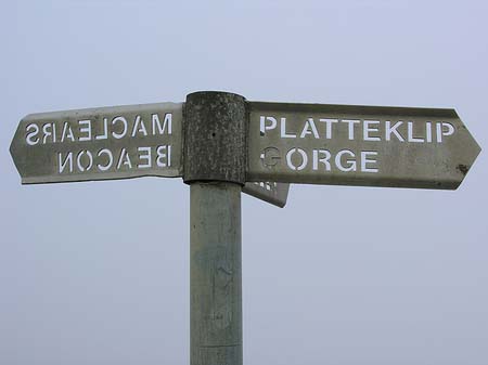 Schild