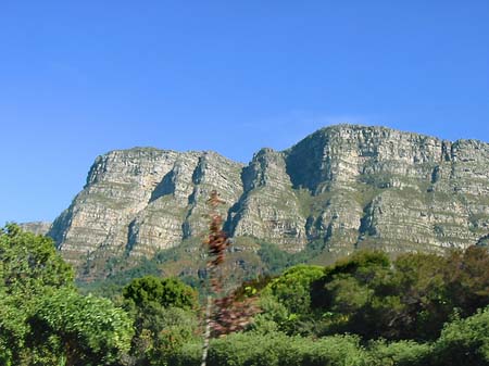Der Tafelberg