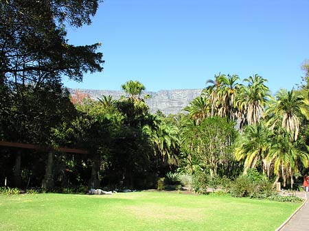 Foto Kapstadt und Camps Bay - 