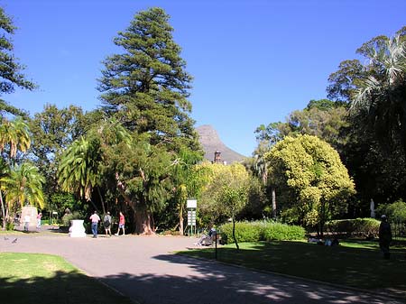 Kapstadt und Camps Bay